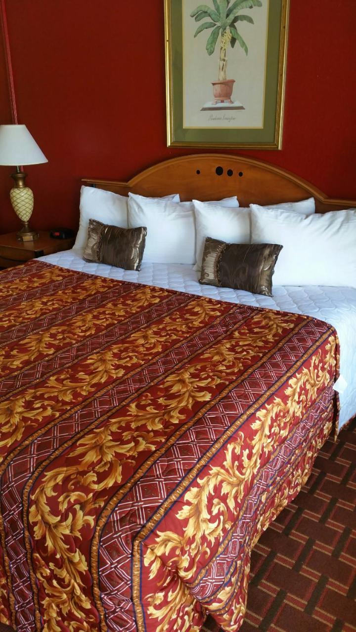 Palms Inn Dania Beach Eksteriør bilde